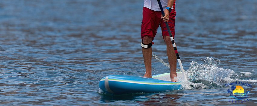 IMR 6 Reasons You Should Try Paddle Boarding